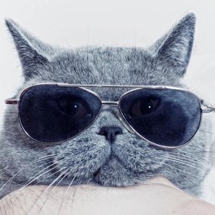 kan_lo9ve's profile picture. 