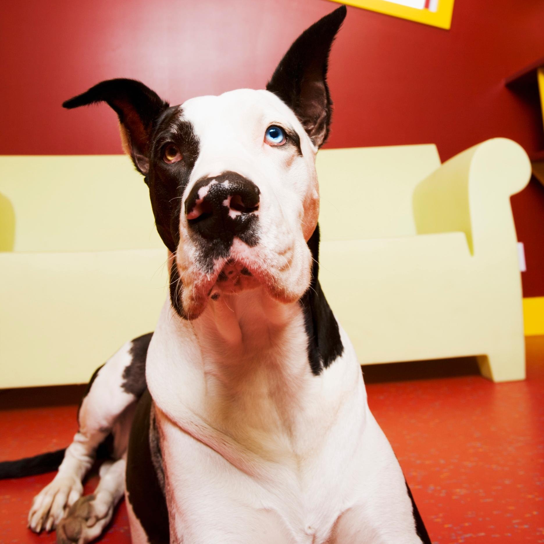 Kelton8576309's profile picture. No me gustan las personas que mienten pero se perdonar una mentira.