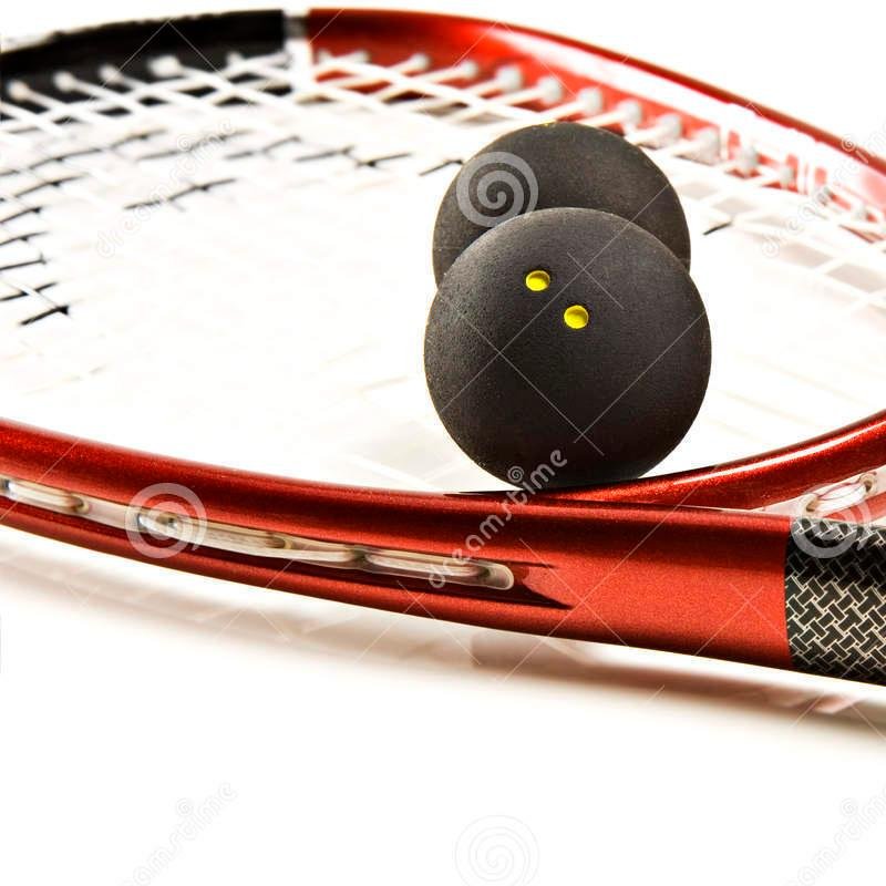 Cowbridge Squash Club, open to new members, club night first Monday of each month. Contact us for more info.