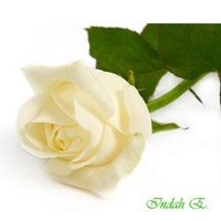 Indah Ernawati (@ndh_erna) 's Twitter Profile