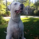 Jack Tudisco - @jackathar - Twitter