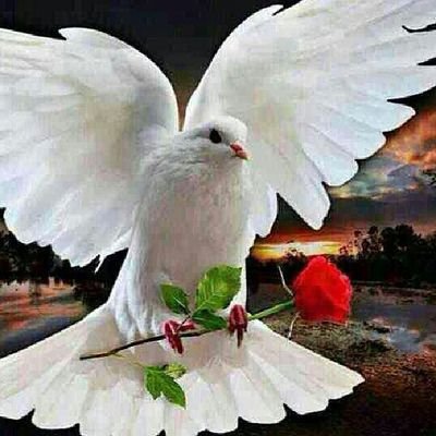 ‏‏‏لأ آله الا انت سبحانك اني كنت من الظالمين