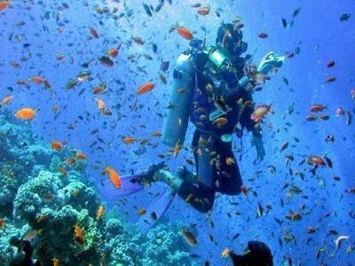 Whether you scuba or free dive, how did diving change your life? Share your answer & experience with us & the world #DivingTaughtMe