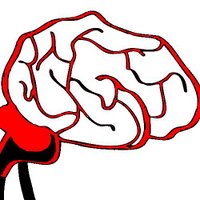 Brain Evolution News (@brainevolutionn) 's Twitter Profile
