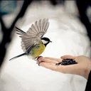 skay agel (@22Sa70) Twitter
