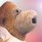 famous_monkey's profile image