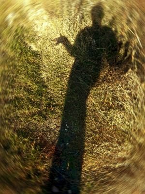Volgi la faccia al sole e le ombre cadranno dietro di te J.Goldstein