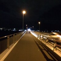 rakushika _令和7年大爆発 (@rakushika) Twitter profile photo