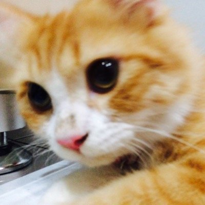 se7enPoye's profile picture. 