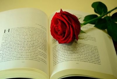 samia_aljohani's profile picture. لا تقبل بأقل من القمة!