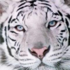 oleg_riboza36's profile picture. 