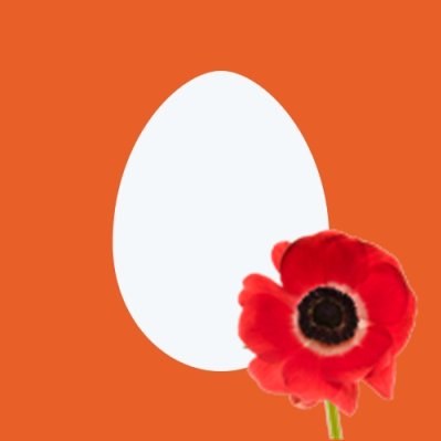 pen00001's profile picture. 