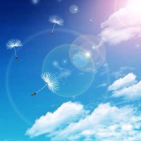 勉強 (@ajvmug) 's Twitter Profile
