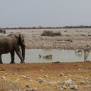 Lisa Roos - @o_leisure - Twitter