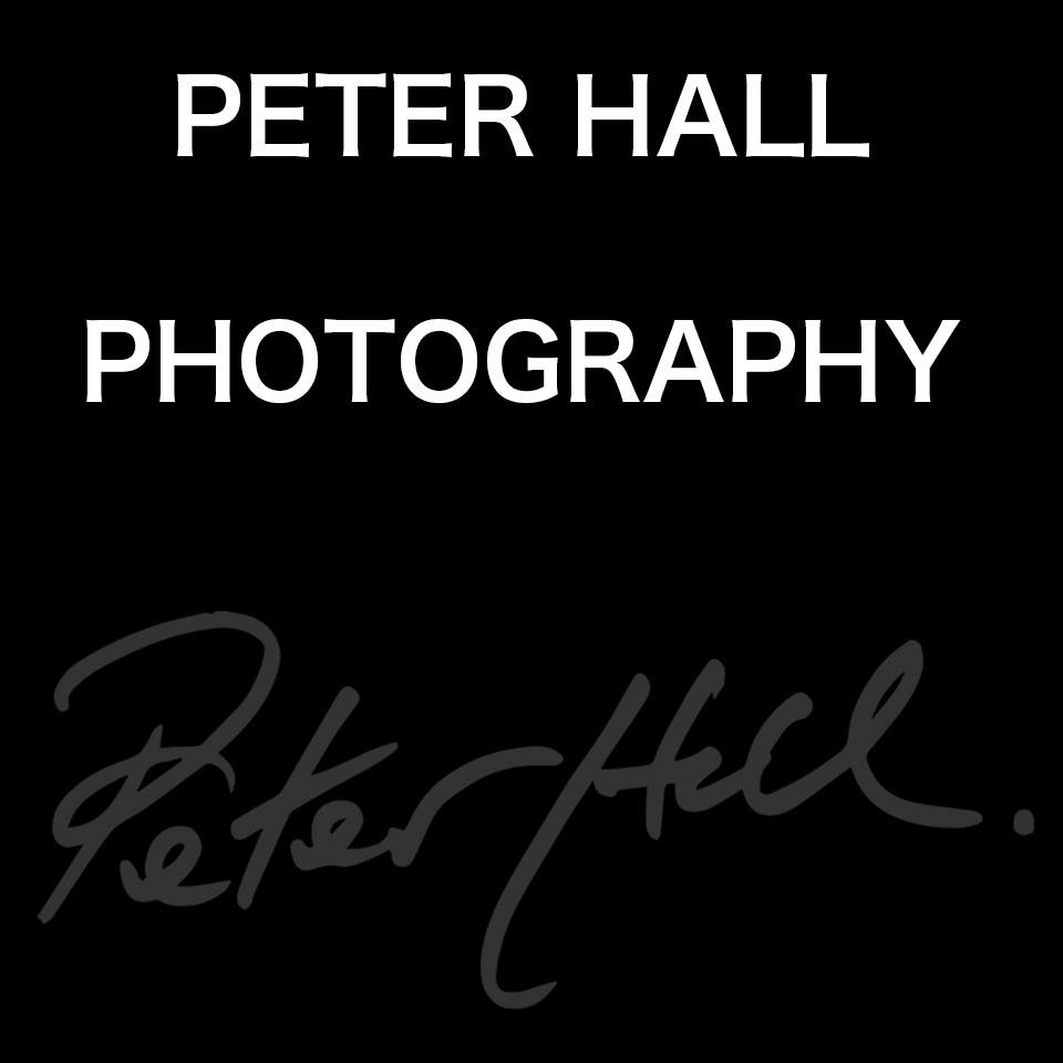 Professional photographer