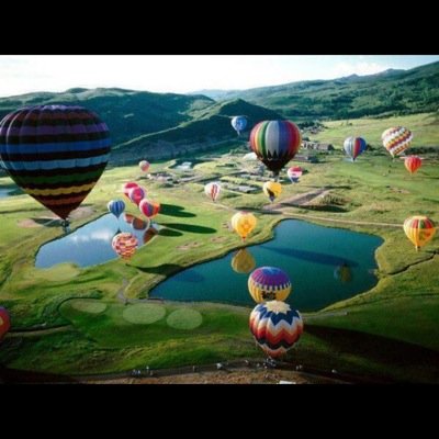 sofiagurini's profile picture. 