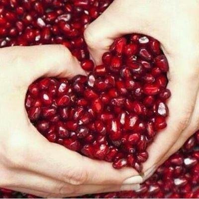 dinodaniel562's profile picture. 