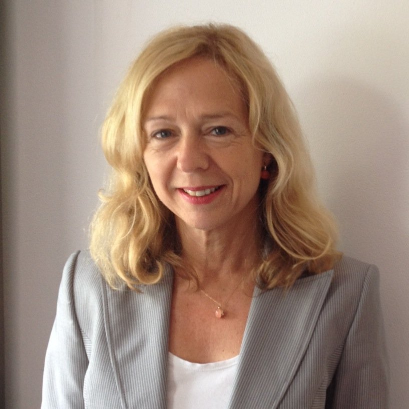 高英丽 Senior Research Fellow, Clingendael Institute; coordinator Clingendael China Centre; Sr Research Fellow LeidenAsiaCentre.