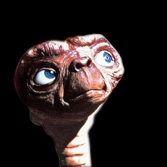 saleppe's profile picture. saleppe detesta comunistacci verbosi e arrabbiati. molti ex amici. talvolta cacciata