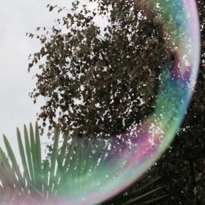 kingcallow's profile picture. 