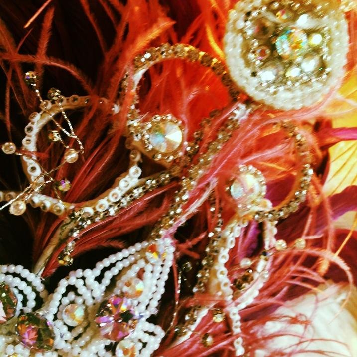 Rooster Feathers and Samba Costumes