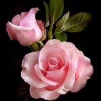 LUCIA DIAZ MARTINEZ (@luciandrea2003) 's Twitter Profile