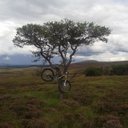 Cameron Wight - @cameron__wight - Twitter