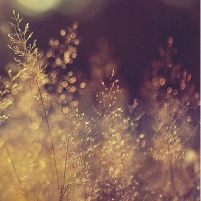 KoreaG's profile picture. 