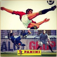 pietro cipullo (@pietro_cipullo) 's Twitter Profile