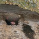 Fiona Cook - @cookie_fi - Twitter