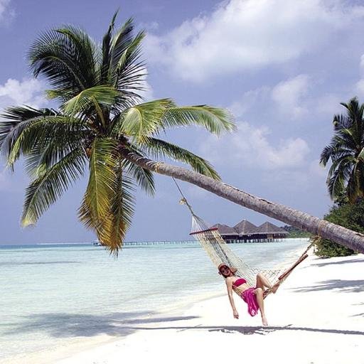 Travel Agent / Tour Operator