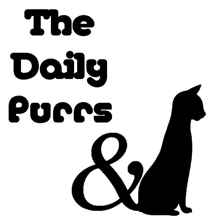 TheDailyPurrs Profile Picture