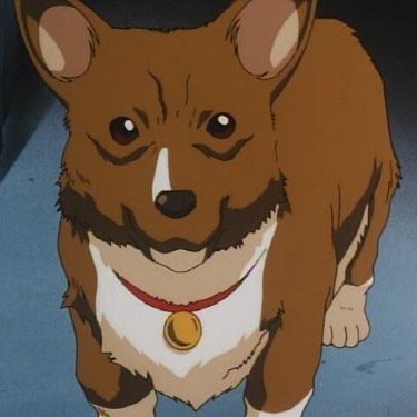 Bark!