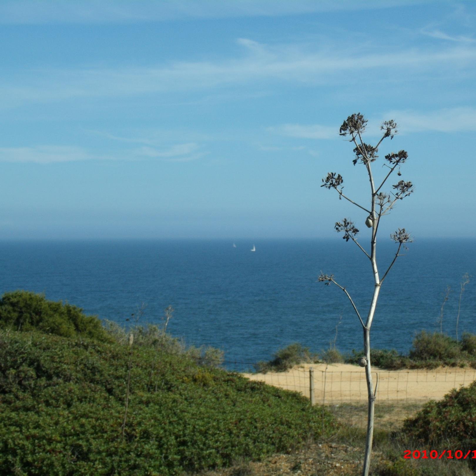 miguelromao4's profile picture. 