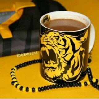 ☺☺بالتوفيق ☺☺نادي الاتحاد ☺☺السعودية