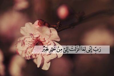 ‏لو وضع الكون في ميزان وهي في ميزان لرفعت الكون من عظمتها..!؟ ﻻ اله اﻻ الله محمد رسول الله