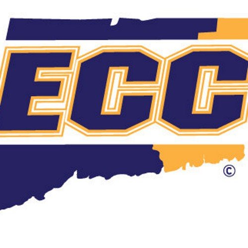 Submit your ECC Everybody says through DMs. Negative tweets are OK!