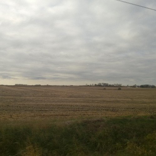 haute_scientist's profile picture. 