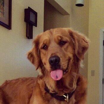 PittmanEllie's profile picture. 