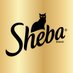 SHEBA® Brand (@shebabrand) Twitter profile photo