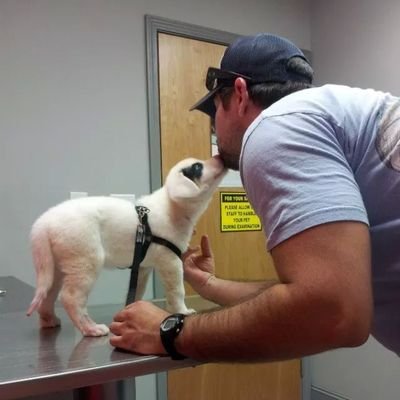 KevinJBlanco's profile picture. The Universe is under no obligation to make sense to you. - NDT.                                                                              IG; kevinjblanco