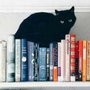 Brittney Morrison - @brmorrison13 - Twitter