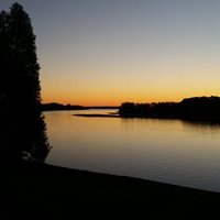 Sara Bamford (@bamford_sara) 's Twitter Profile