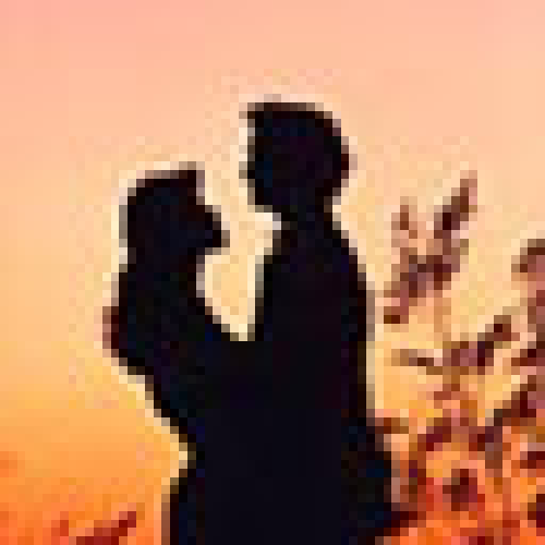 SadovnikGordey's profile picture. 