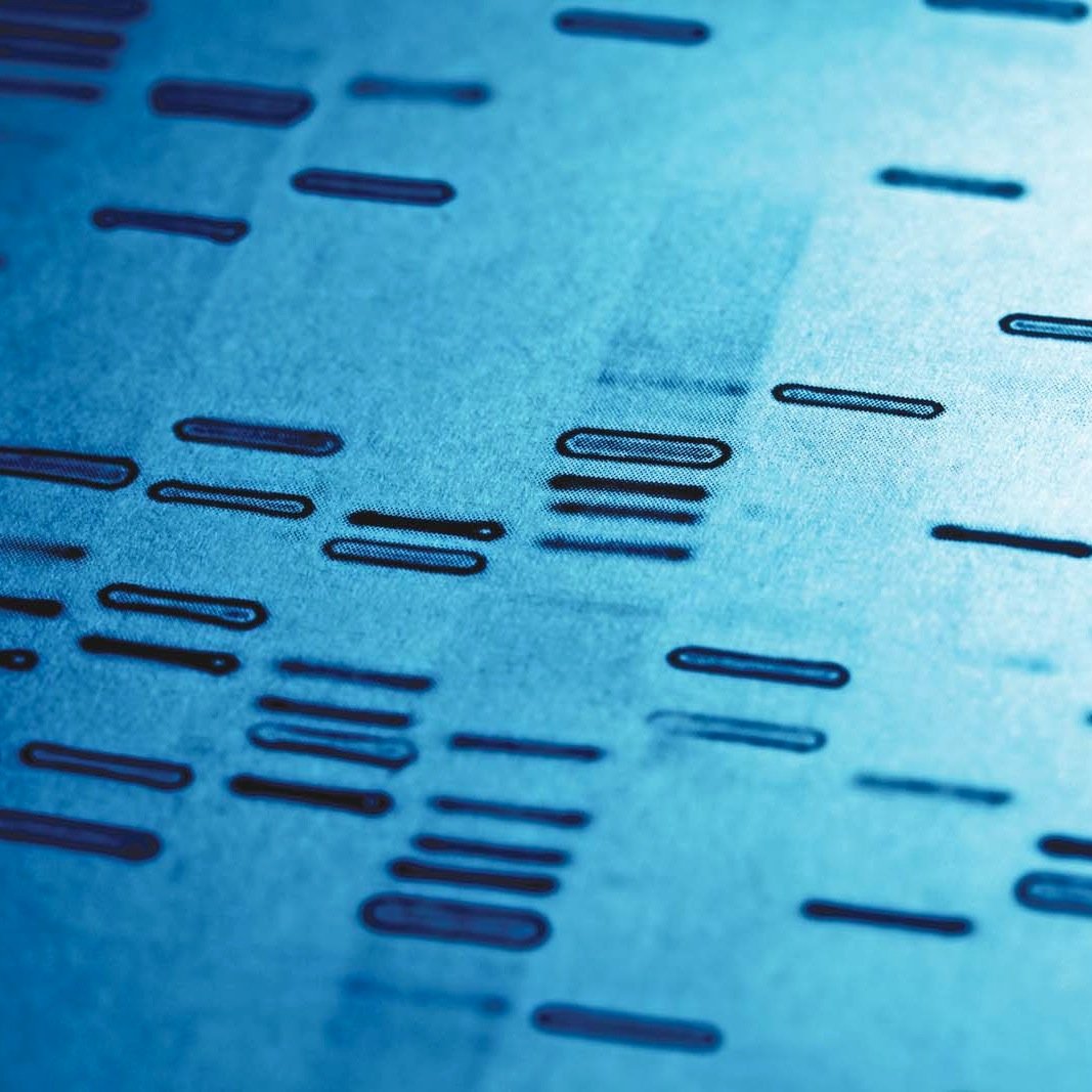 Canadian researchers in economics, law, ethics, HTA;Uni of Alberta & McGill Uni;actualizing personalized medicine;maximizing public benefits for Canada & beyond