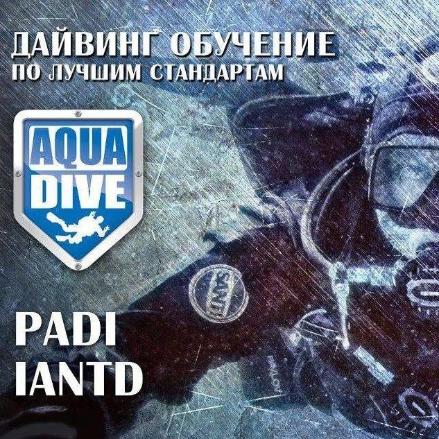 Обучение мастерству дайвинга под руководством опытных инструкторов;
подготовка и организация дайв-туров: частных и групповых. DIR Style