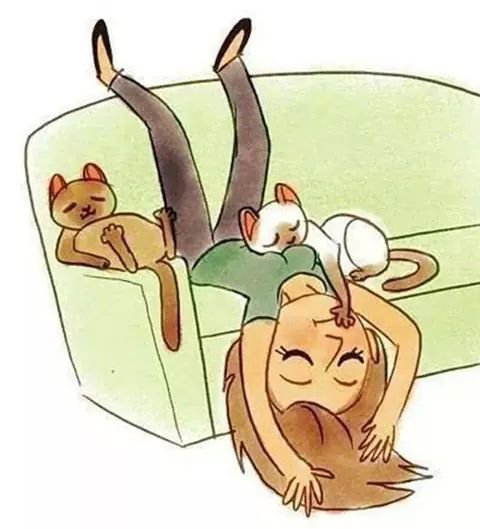 nekogatita's profile picture. Lic en Biología, amante de los gatos ^^