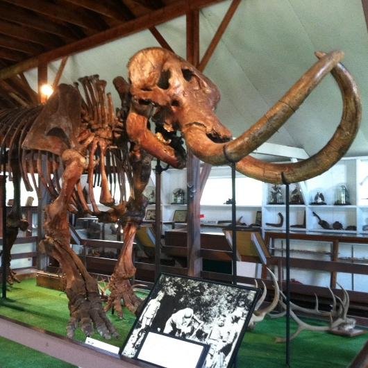Museum Village is a living history museum preserving a vast collection of eclectic, 19th century artifacts for educational purposes.