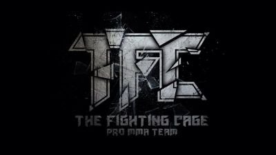 Liga de Artes Marciales Mixtas 2014