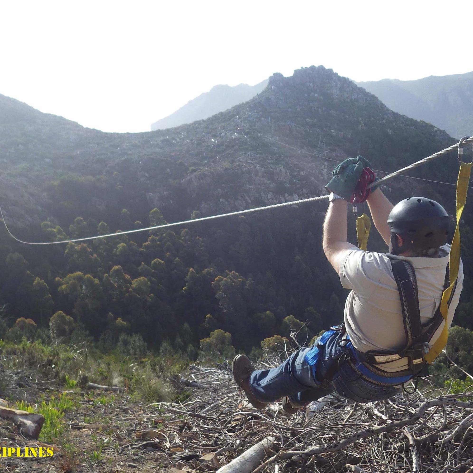 SA Forest Adventures On Twitter at Cape Town Ziplines Sa Forest sa-forest-adventures-on-twitter-at-cape-town-ziplines-sa-forest